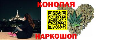 гидра Шахты